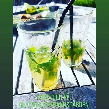 Lodsoldermandsgarden Auberge de jeunesse Rørvig